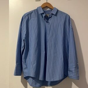 Everlane The Oversized Poplin Shirt